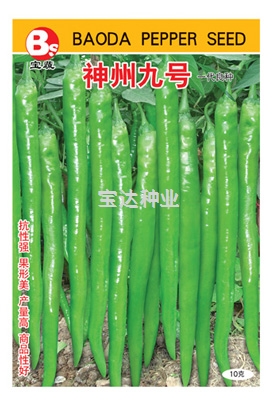 神州九號
