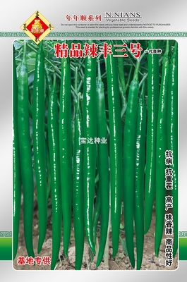 精品辣豐三號