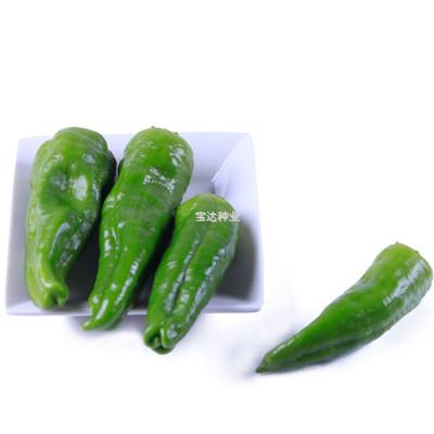 泡椒