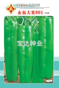 永福大果901