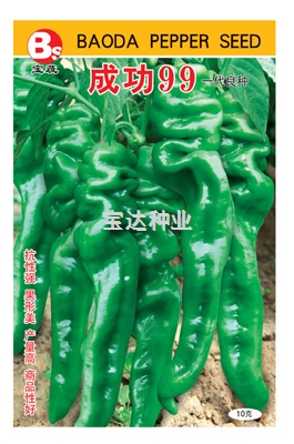 成功99