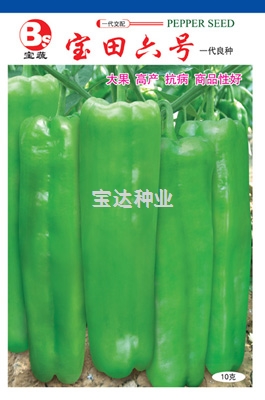 寶田六號