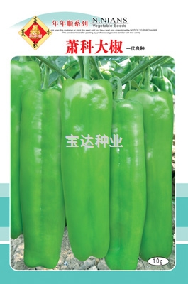 蕭科大椒