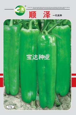 順澤