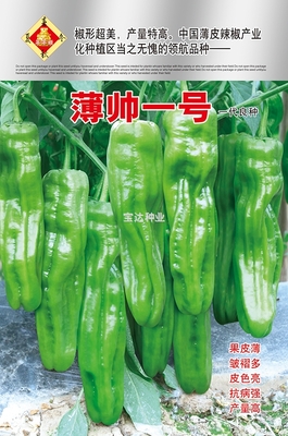薄帥一號