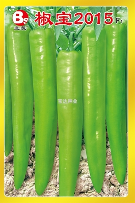 椒寶2015